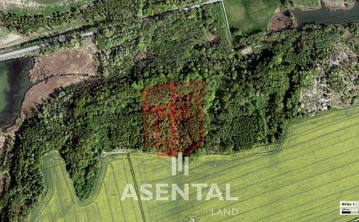 Prodej lesa 21 432 m², Stonava, okres Karviná