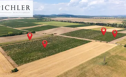 Prodej pozemku 24 332 m², Sedlec, okres Břeclav