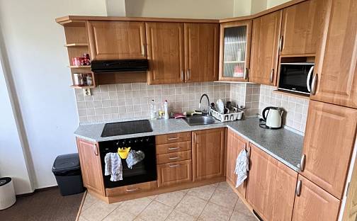 Pronájem bytu 1+1 26 m², Okružní, Olomouc - Nová Ulice