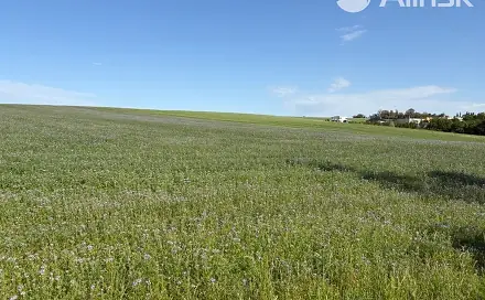 Prodej pozemku 2 477 m², Bílovec, okres Nový Jičín
