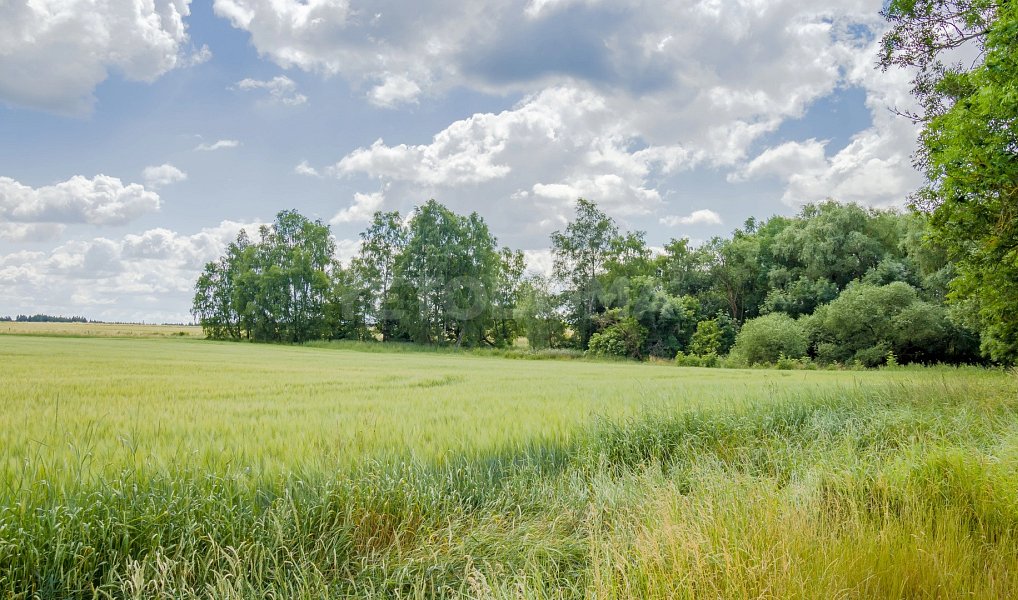Prodej stavebního pozemku 2 128 m², Olbramov – náhled fotky 11