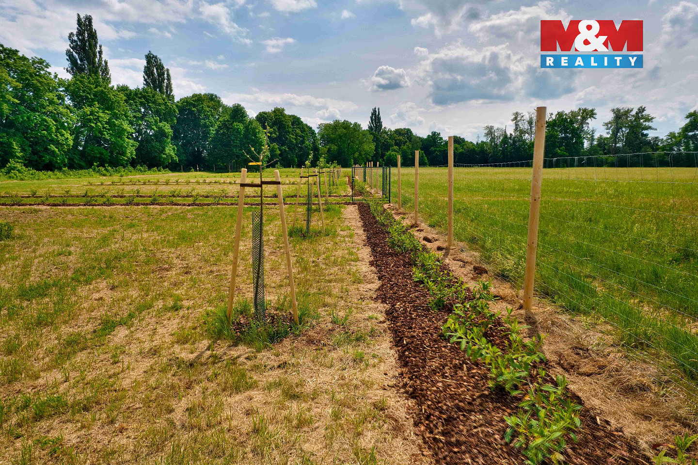 Prodej zahrady, 1000 m², Hradec Králové – pohled 4