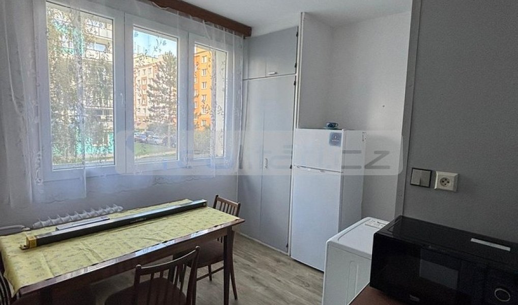 Pronájem bytu 2+1 22 m², Plzeň – náhled fotky 4