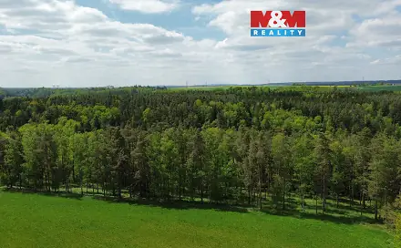 Prodej lesa 79 857 m², Černýšovice, okres Tábor