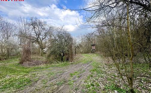 Prodej zahrady 6 042 m², Žatec, okres Louny