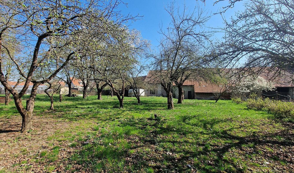 Prodej domu 300 m² s pozemkem 2 907 m², Hostomice – náhled fotky 28