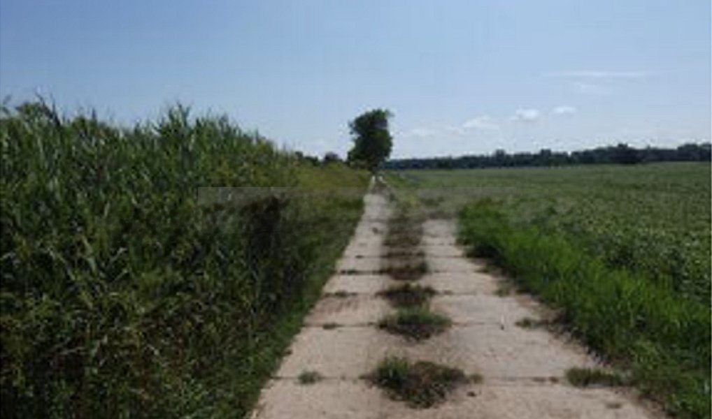 Prodej komerčního pozemku 51 412 m², Smiřice – náhled fotky 7