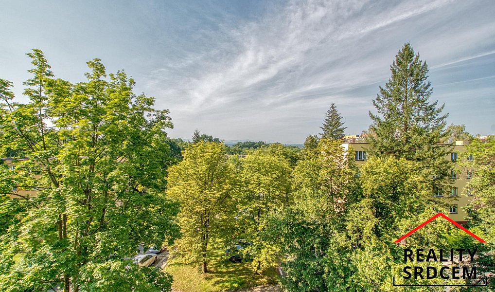 Prodej bytu 1+1 32 m², Karviná – náhled fotky 13
