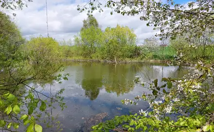 Prodej vodní plochy 12 045 m², Krásensko, okres Vyškov