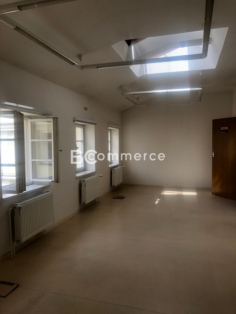 Pronájem komerčního objektu (jiného typu) 99 m² – fotografie 5