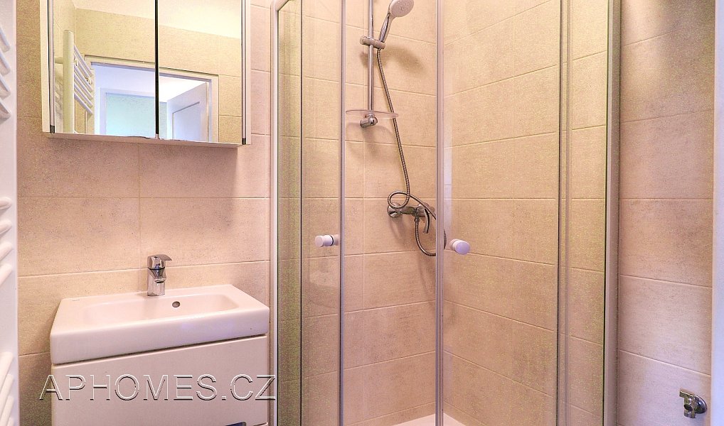 Pronájem bytu 1+1 50 m², Praha – náhled fotky 4