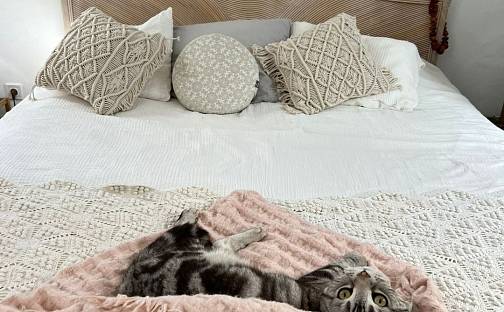 Prodej bytu 6+kk 130 m², Las Palmas de Gran Canaria, Španělsko