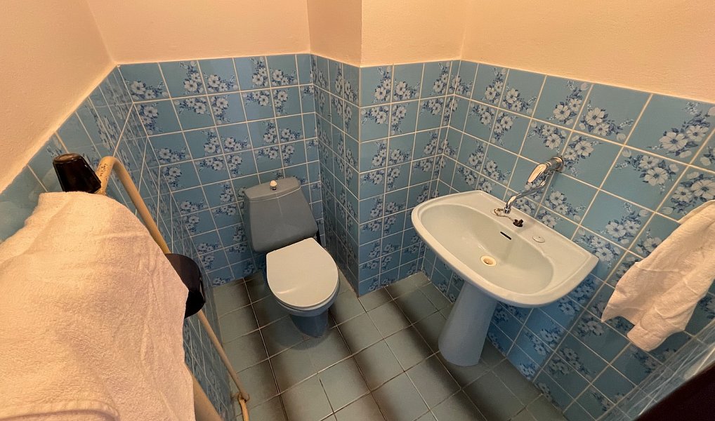 Pronájem domu 230 m² s pozemkem 601 m², Bříšťany – náhled fotky 23