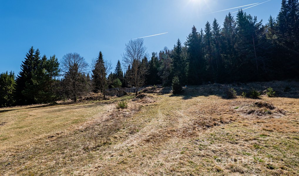 Prodej stavebního pozemku 10 137 m², Stožec – náhled fotky 19