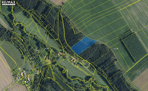 Prodej lesa 11 380 m², Leština, okres Ústí nad Orlicí