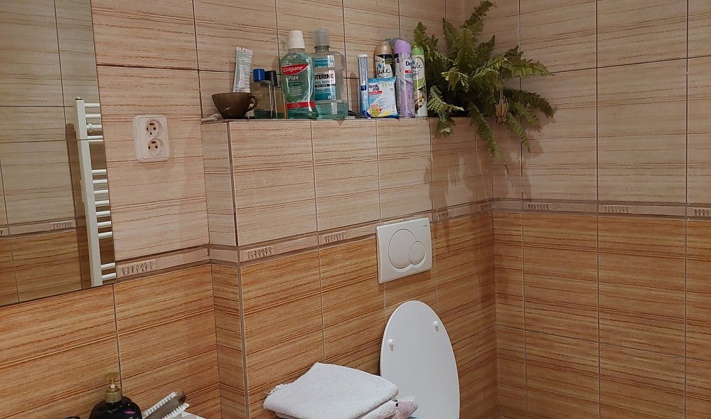 Prodej domu 80 m² s pozemkem 29 401 m², Mostek – náhled fotky 21