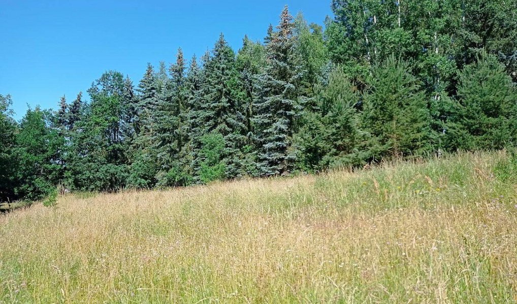Prodej stavebního pozemku 5 357 m², Tuřany – náhled fotky 5