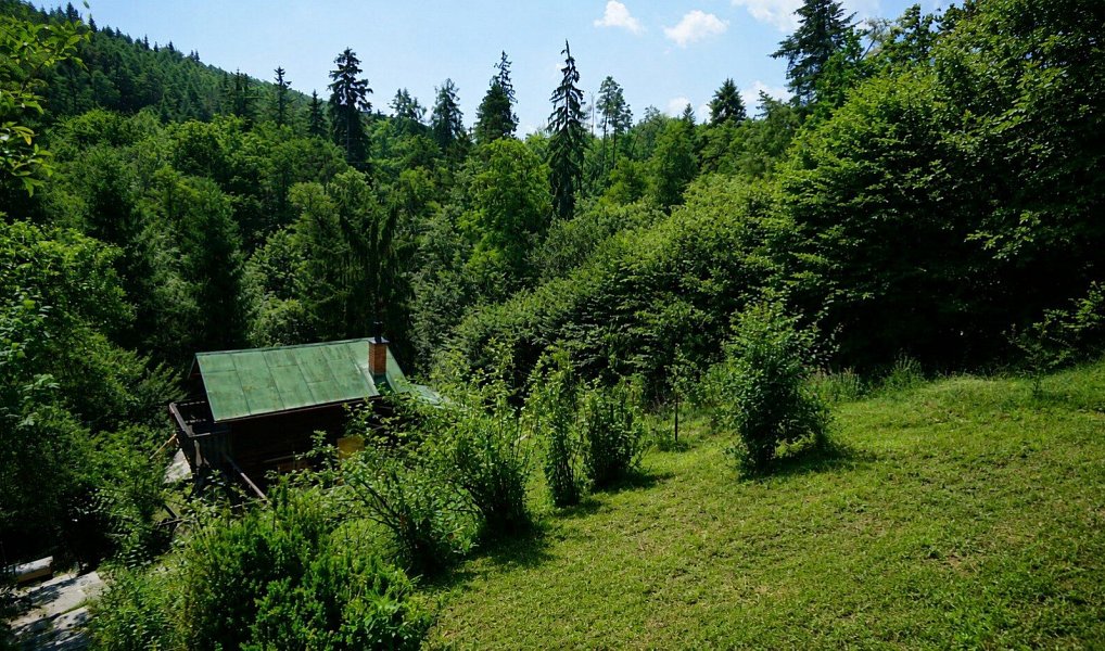 Prodej chaty/chalupy 90 m² s pozemkem 2 191 m², Hvozdnice – náhled fotky 2