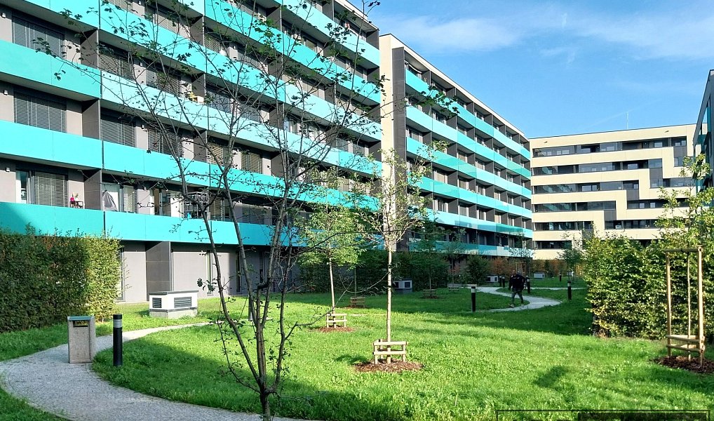 Prodej garážového stání 18 m2, Praha - Holešovice, Praha – náhled fotky 14