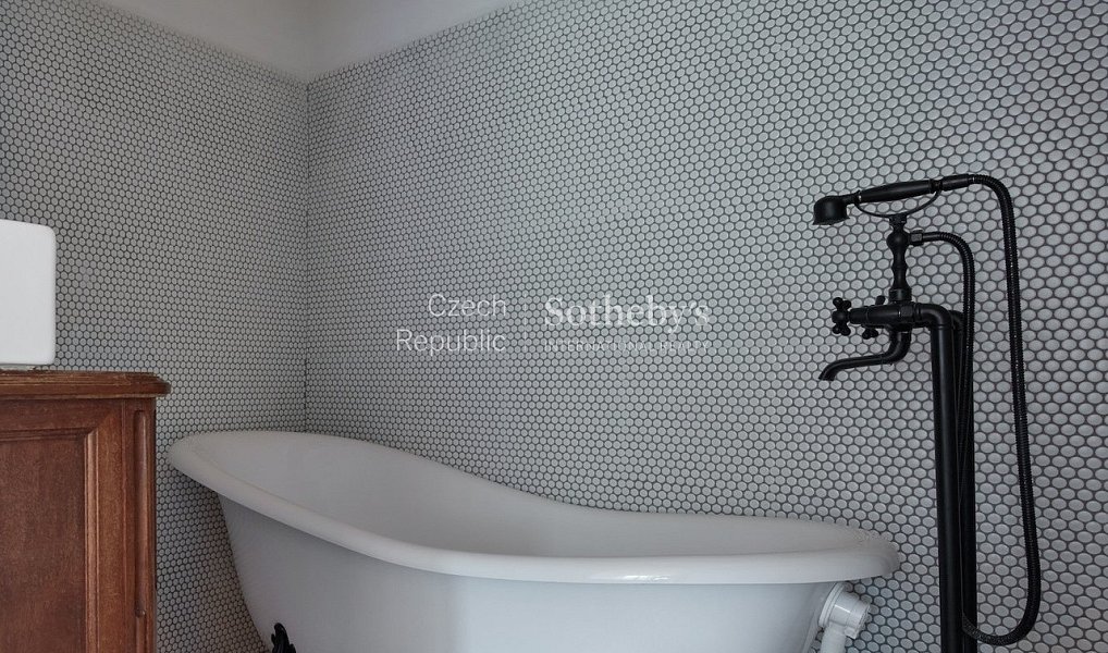 Prodej ubytovacího objektu 380 m², Brzánky – náhled fotky 16