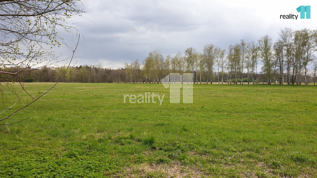 Prodej pole 33 989 m² — photo 2