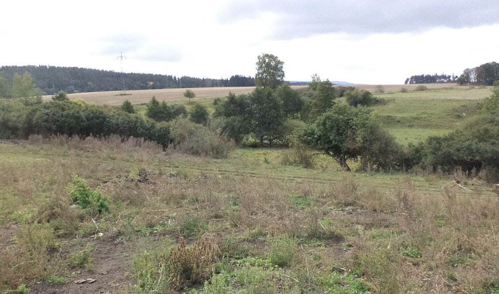Prodej pozemku, 3504 m², Tachov