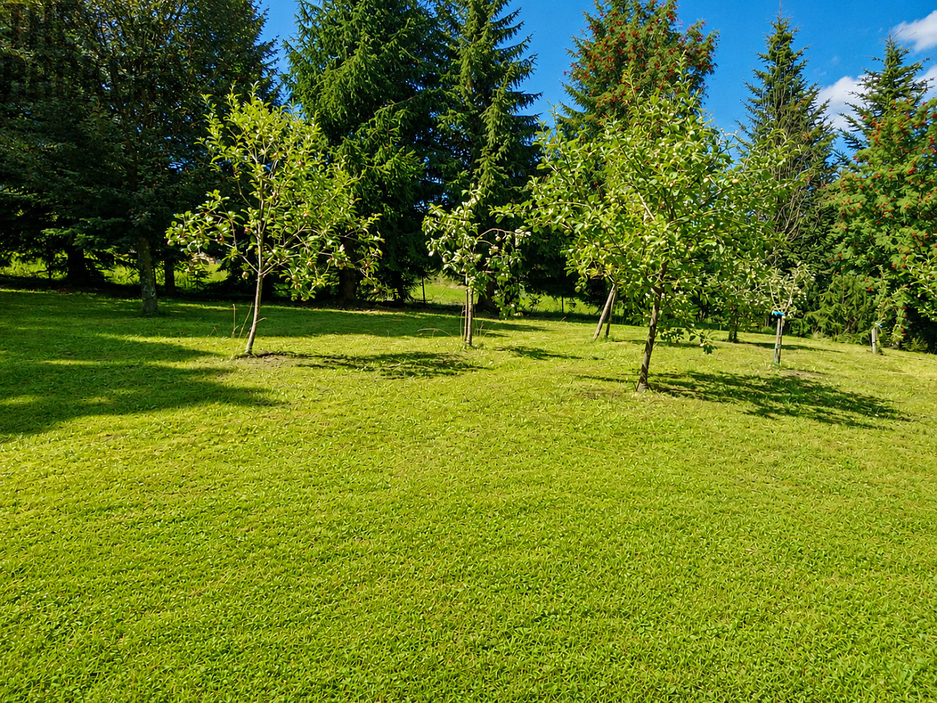 Prodej domu 125 m² s pozemkem 3 126 m² – fotografie 3