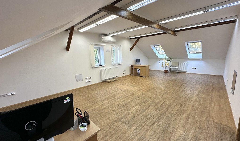 Prodej obchodních prostor 1 076 m², Lutonina – náhled fotky 22
