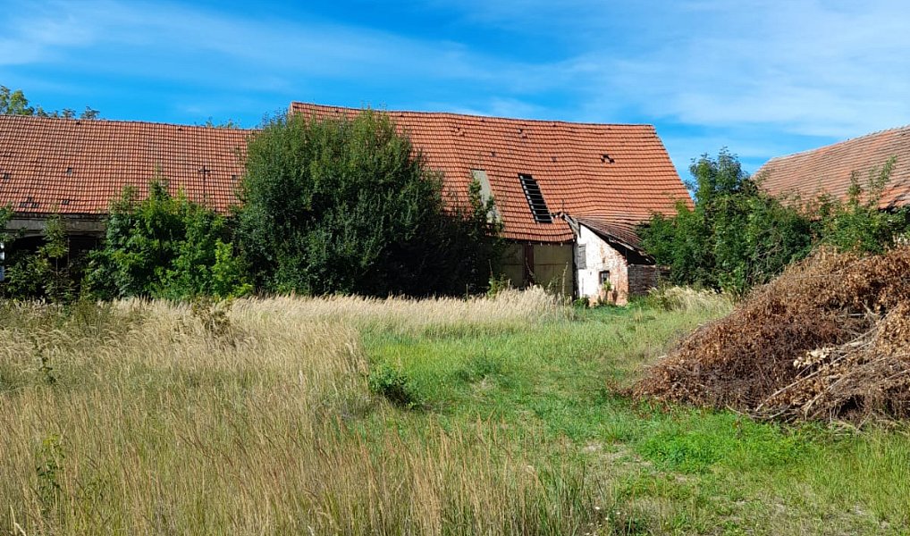 Prodej stavebního pozemku 3 000 m², Vysoký Újezd – náhled fotky 11
