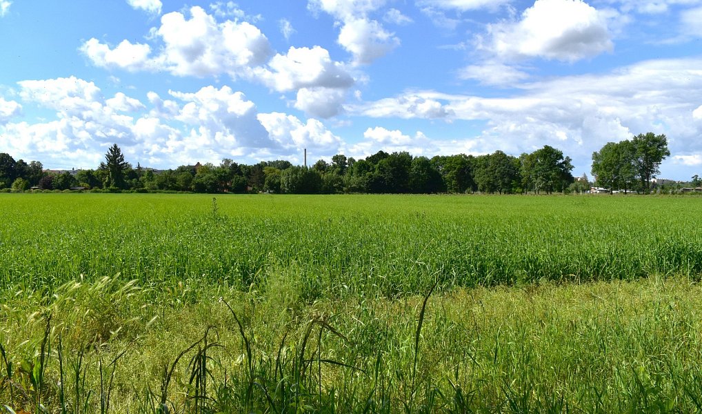 Prodej pole 36 521 m², Plzeň – náhled fotky 4