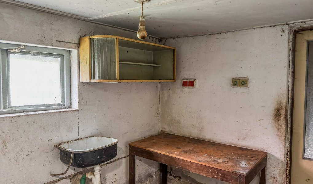 Prodej domu 240 m² s pozemkem 517 m², Jílové u Držkova – náhled fotky 32