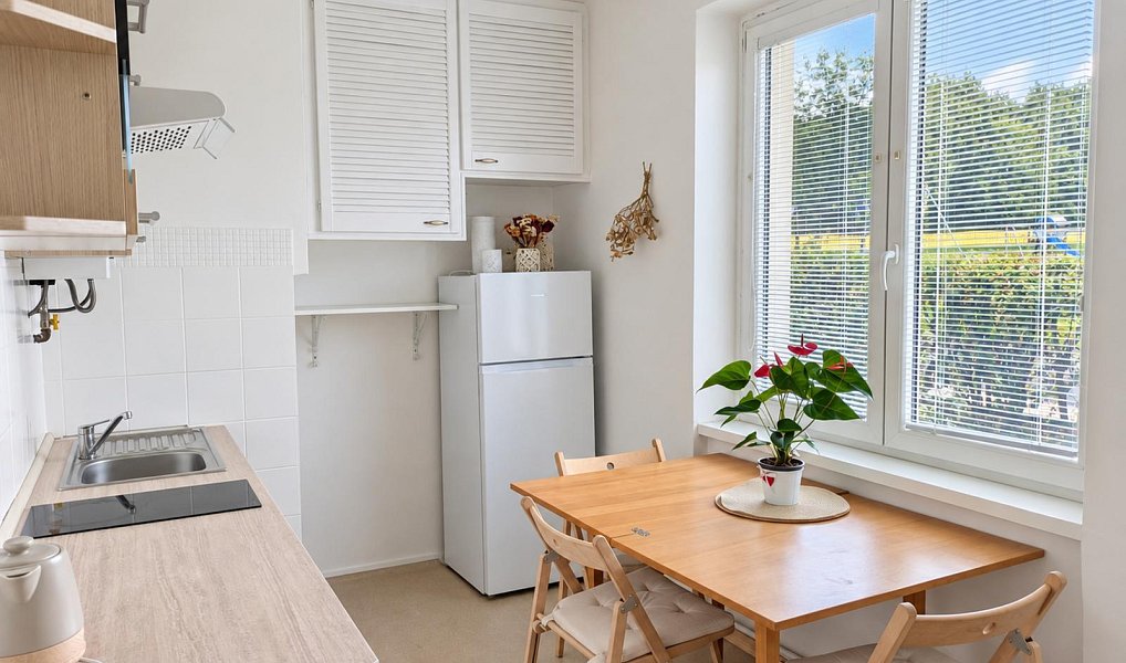 Pronájem bytu 2+1 49 m², Teplice – náhled fotky 2