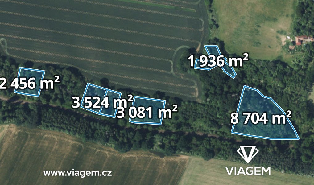 Prodej lesa 6 304 m², Katusice – náhled fotky 3