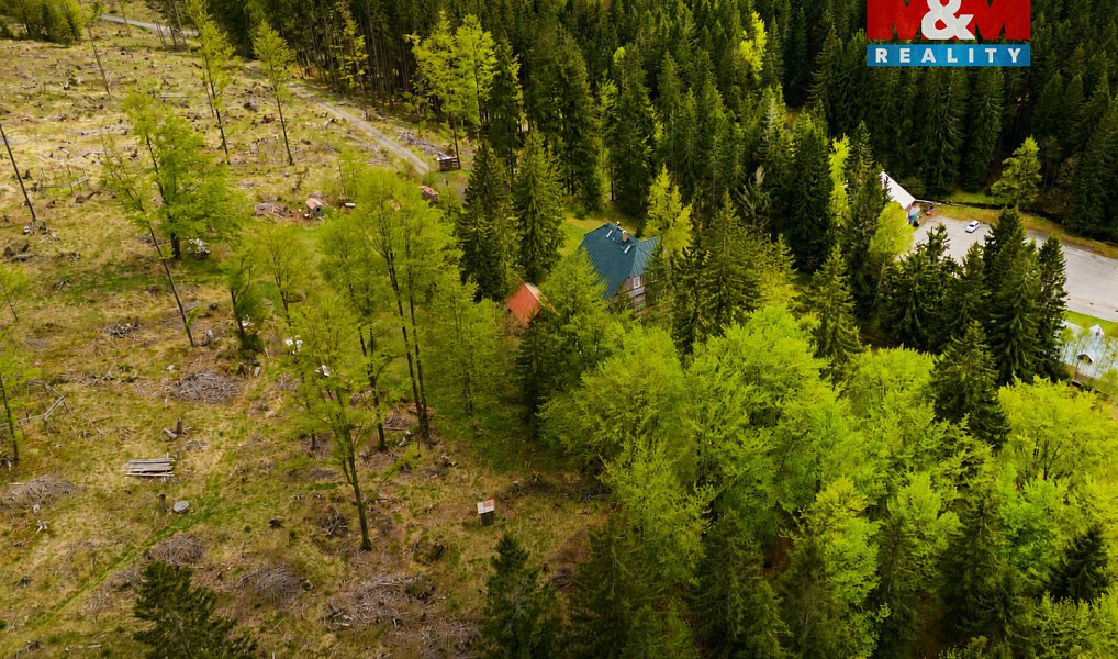 Prodej louky 8 167 m², Harrachov – náhled fotky 5
