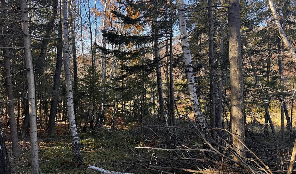 Prodej stavebního pozemku 3 129 m², Chvalčov – náhled fotky 12