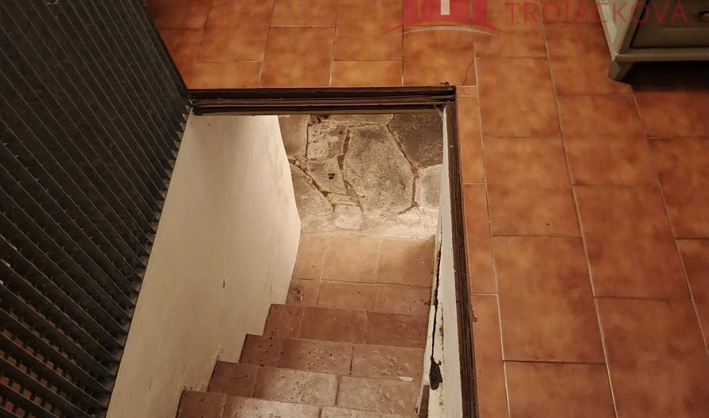 Prodej domu 260 m² s pozemkem 488 m², Rožnov pod Radhoštěm – náhled fotky 29
