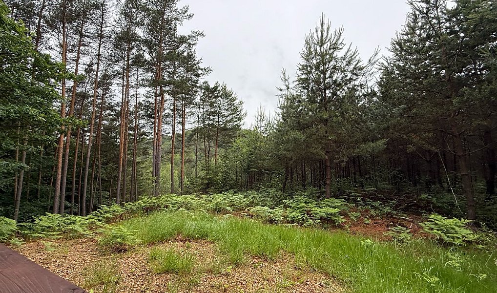 Prodej chaty/chalupy 40 m², Libošovice – náhled fotky 7