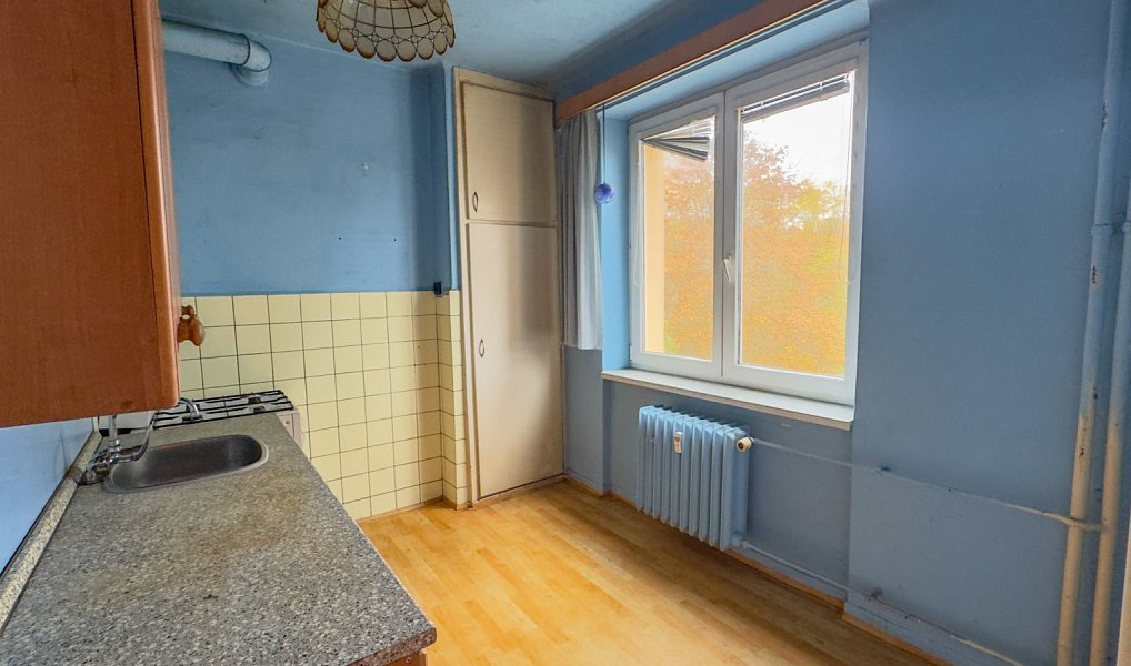Prodej bytu 2+1 52 m², Plzeň – náhled fotky 4