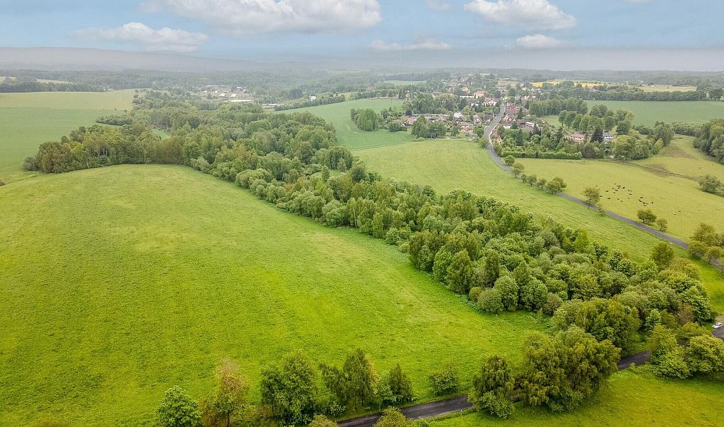 Prodej pole 54 868 m², Krajková – náhled fotky 8