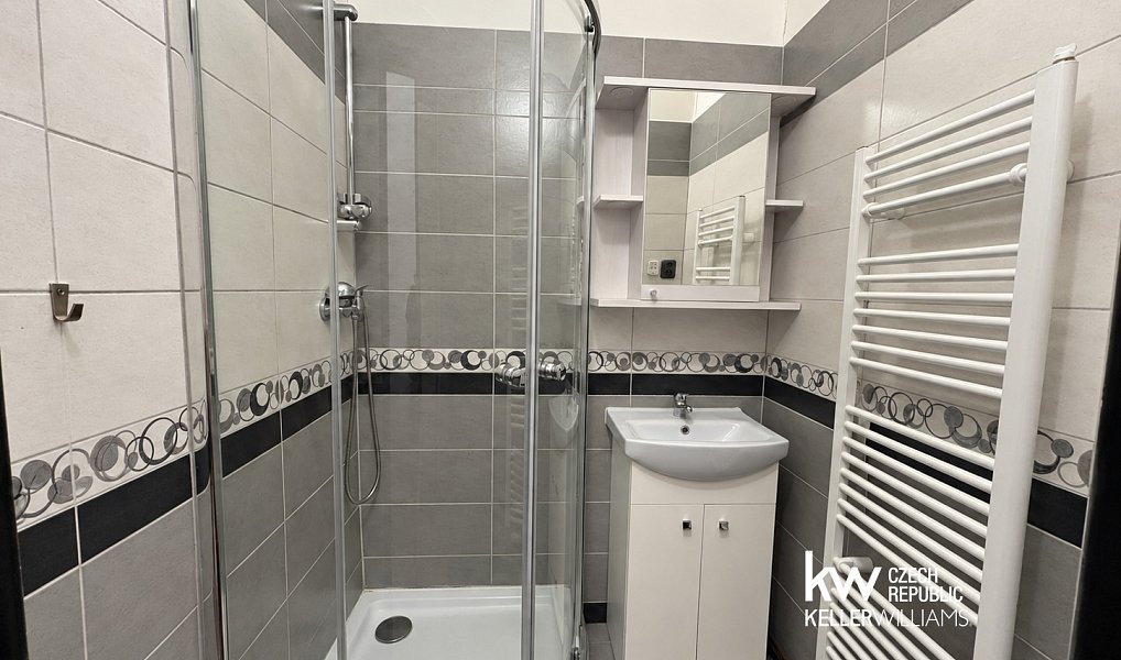 Pronájem bytu 2+1 47 m², Teplice – náhled fotky 8