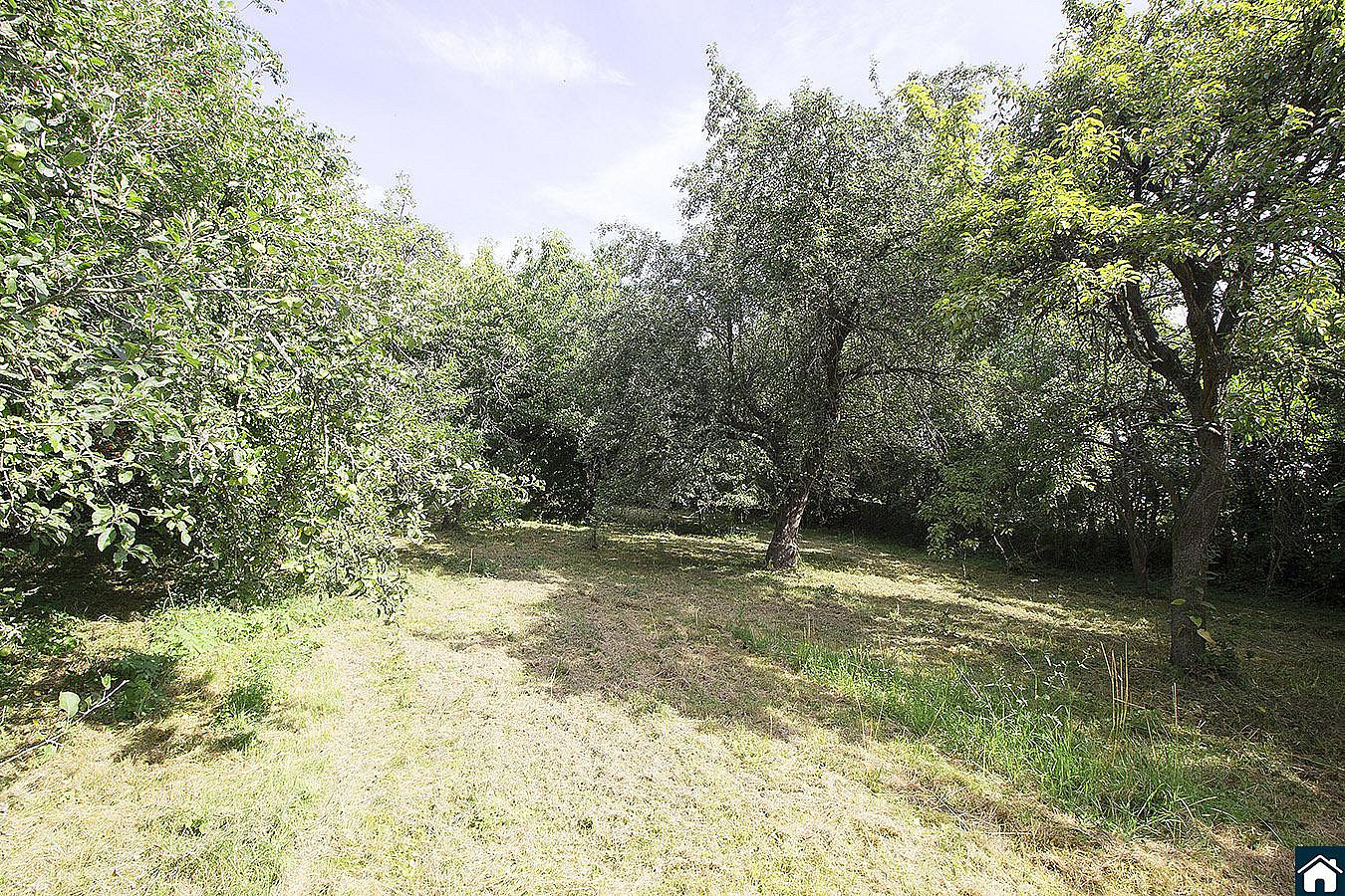 Prodej domu 100 m² s pozemkem 2 233 m² – fotografie 5