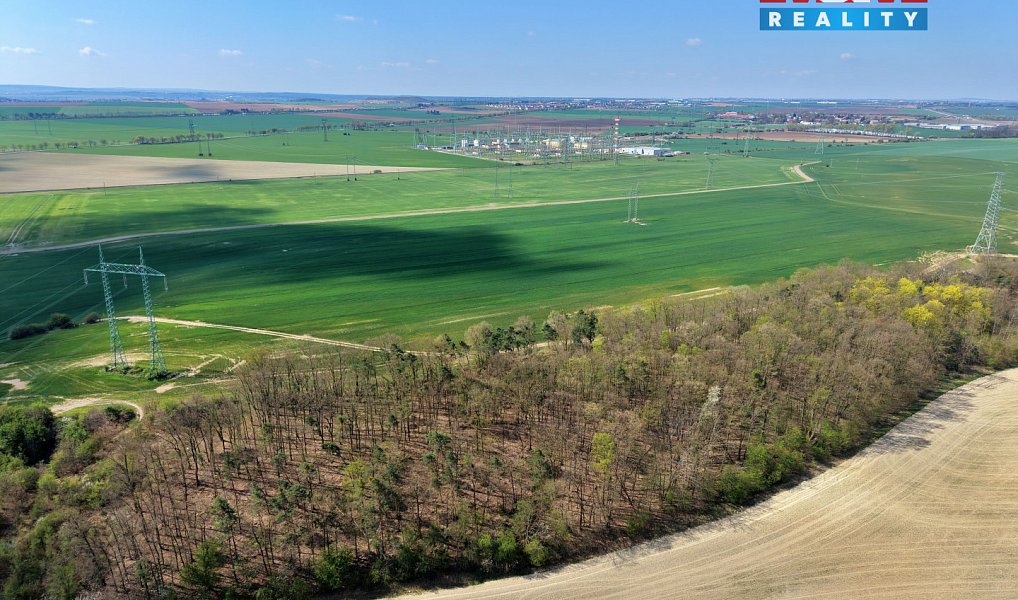 Prodej lesa 4 629 m², Mochov – náhled fotky 3