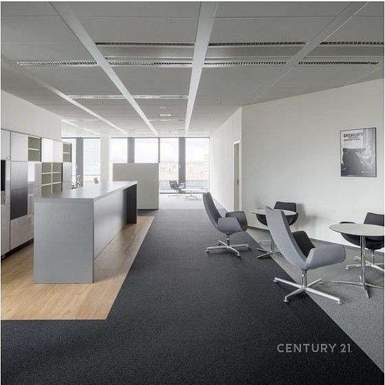 Pronájem kanceláře 535 m² – fotografie 5