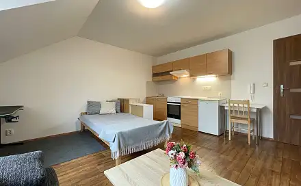 Pronájem bytu 1+kk 25 m²
