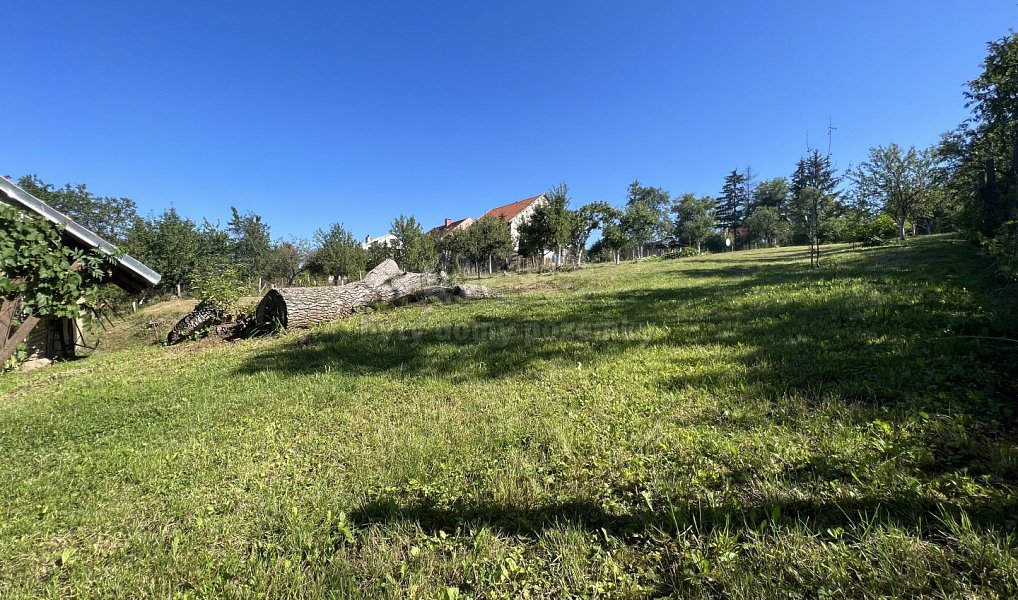 Prodej domu 333 m² s pozemkem 3 207 m², Roštín – náhled fotky 7