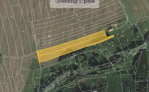 Prodej pole 5 604 m², Sedliště, okres Plzeň-Jih