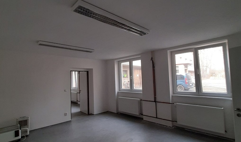 Pronájem komerčního objektu (jiného typu) 50 m², Lužany – náhled fotky 7