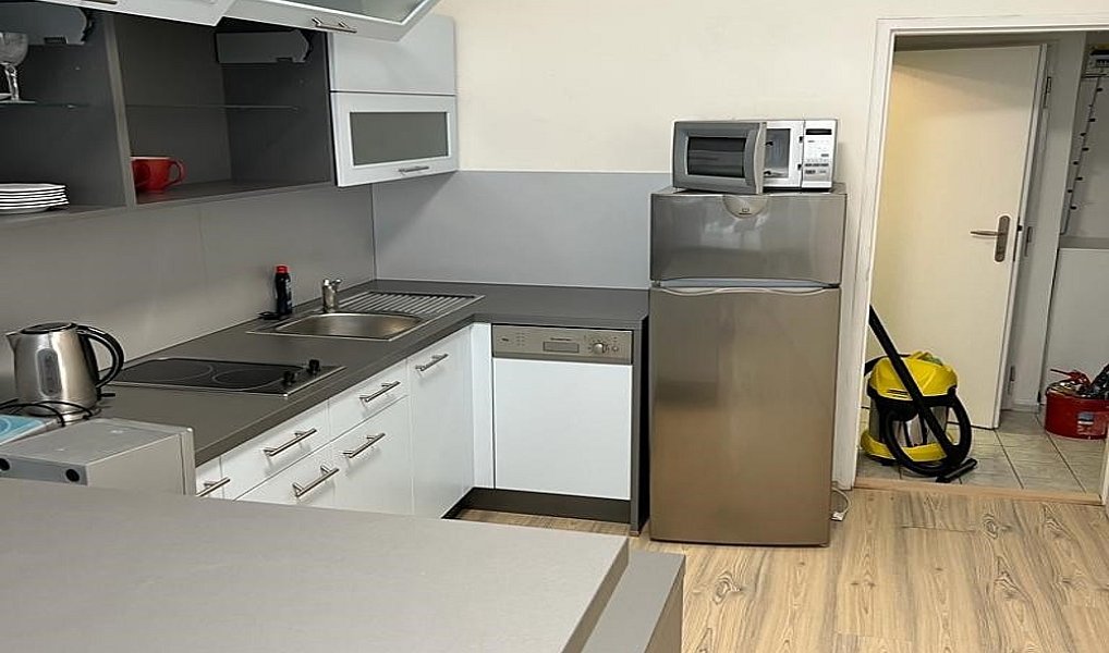 Pronájem bytu 1+1, 46 m², Karlín - Praha 8, Praha