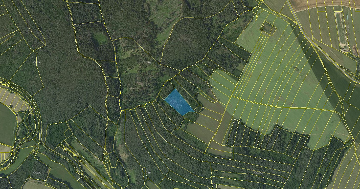 Prodej lesa 7 691 m²