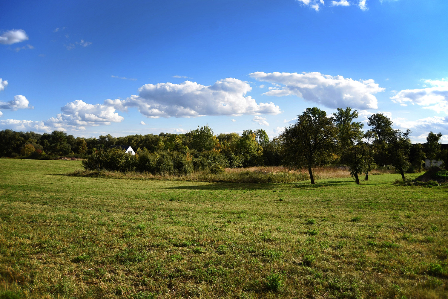 Prodej stavebního pozemku 1 356 m² – fotografie 4